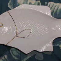 دیس ماهی مقصود کاملا نو با کارتن مناسب هدیه