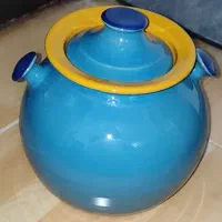 ظرف گلی