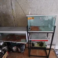 اکواریوم