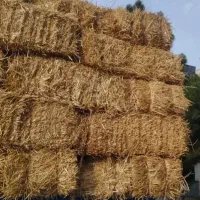 پرس گندم