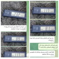 دیابت|خدمات آرایشگری و زیبایی|بافت, |دیوار