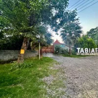 پلاک-یک-جنگل-دارای-درختان-چند-ساله-شهرکی-نگهبان