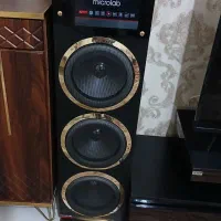 میکرولب دوقلو