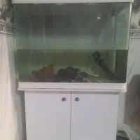 اکواریوم
