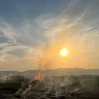 زمین-کشاورزی