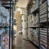 ارزانسرای کاغذ دیواری فقط تا 10 روز کاغذدیواری