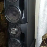 ضبط خانگی