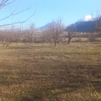 حفاری با دستگاه