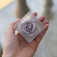 شمع گل هلندی