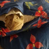 تشک پشمی نو