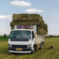 شیلر مدل ۹۸ تحویل ۹۹ همه چی بشرط