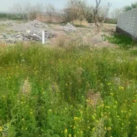 زمین-ویلای