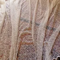 پرده پزیرای ۱ میلون