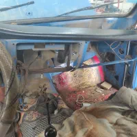 باطریسازی سعیدامیرزاده