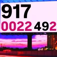 0917.2200.324