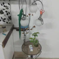 آماجور