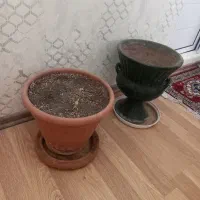 گلدان چهارتا