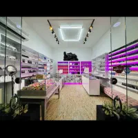 دکور لوازم ارایشی عطر موبایل لباس....