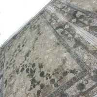 فرش نو