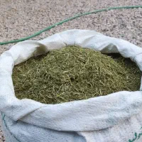 بابونک محلی.خوش طعم