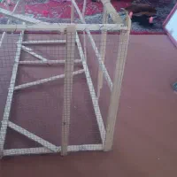 قفس برنده