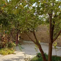 اجاره آپارتمان