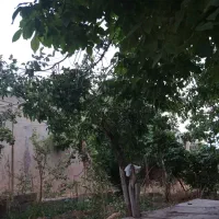 نیازمندپرستاربرای اب درمانی