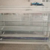 ویترین شیشه ای دو عدد گاوصندوق و تانک باد