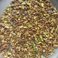 مغز پسته کارگاهی
