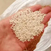 برنج هاشمی سورتینگ زده