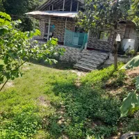 اجاره روزانه خانه ویلایی جنگلی