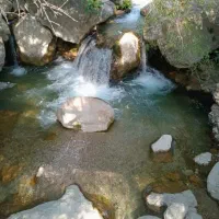 تورامیدیه گردی