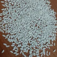 عنبر بو درج یک شرطی