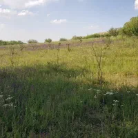 زمین-ویلایی-کشاورزی