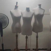 مانکن سوزن خور مزونی