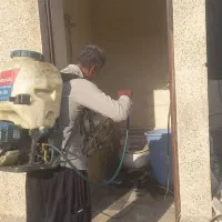 سمپاشی سوسک ساس درتمام نقاط تهران