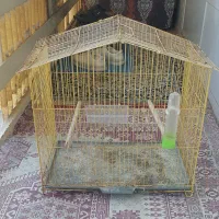 قفس پرنده