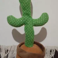 کاکتوس سخنگو