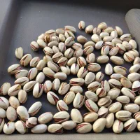 فروش مستقیم پسته ومغز پسته استان کرمان عمده و جزئی