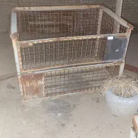قفس اهنی محکم