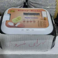 دستگاه جوجه کشی