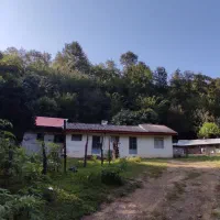 سوییت در دل جنگل و لب رودخانه دنج و آرام