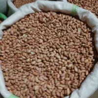 بادام زمینی مغز