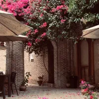 استخدام کادر آشپزخانه صدراعظم
