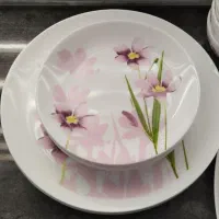 آرکوپال فرانسه دریم گراس