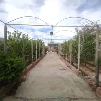باغ-ویلا-نجف-آباد-جلال-آباد