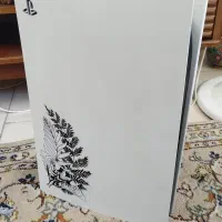 Ps5 fat