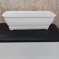 گلدان مستطیلی باکفی نوی نو