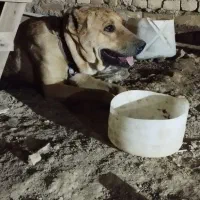 ماچ سرابی