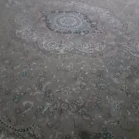 دار قالی